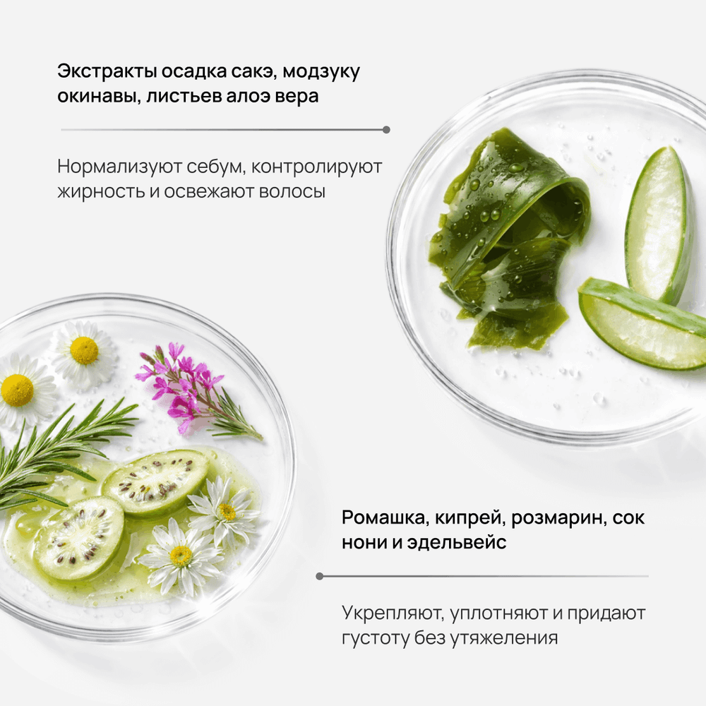 ANGFA Органический шампунь для жирных волос «SCALP-D ORGANIC SCALP SHAMPOO OILY» 350 мл.