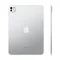 Планшет Apple iPad Pro 2024 11" Wi-Fi 256Gb Серебристый Silver