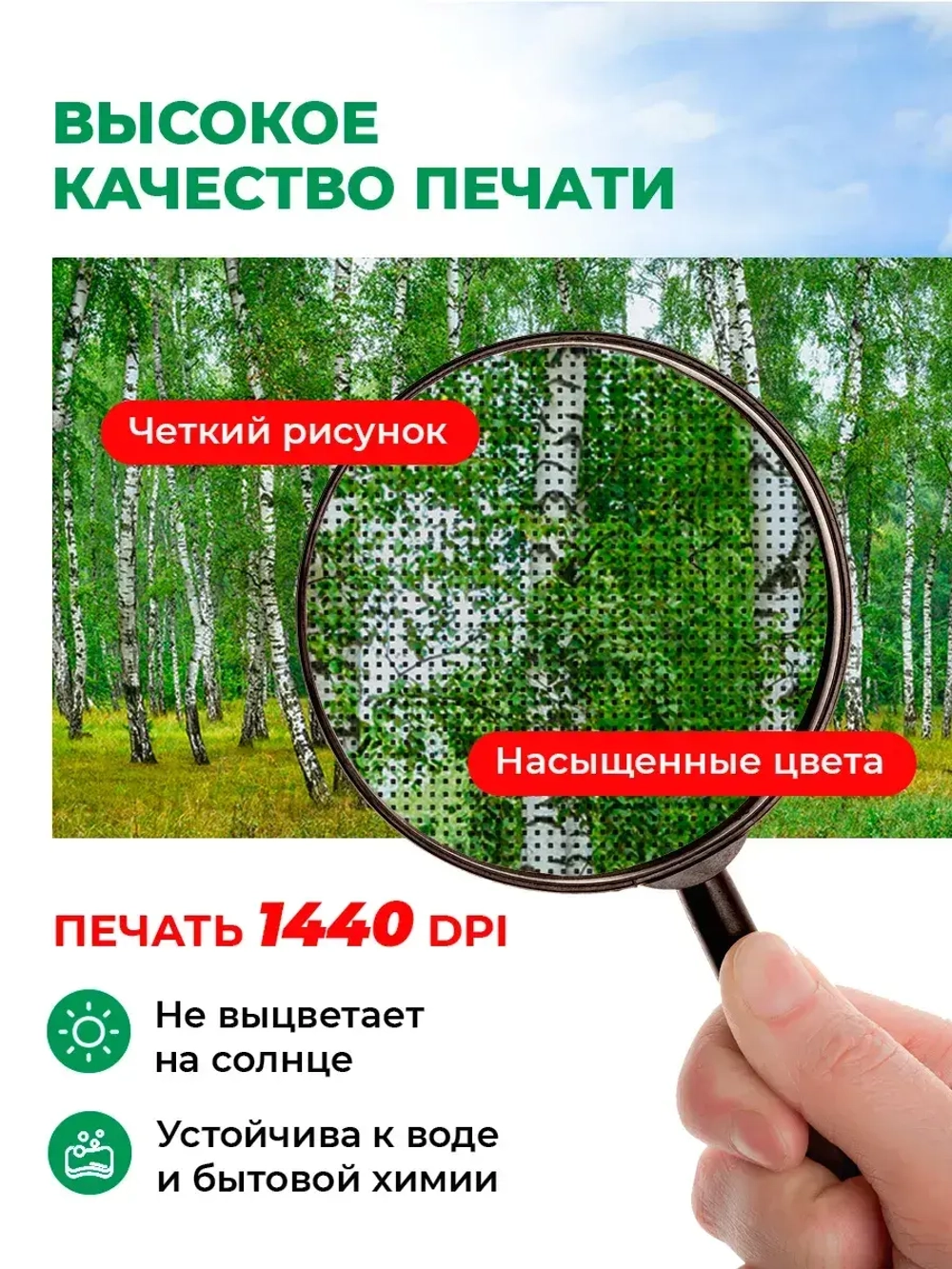 Фотосетка на забор пейзаж Березовая роща 3,16х2 м