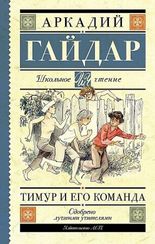 Тимур и его команда