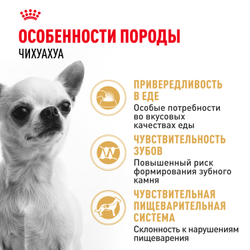 Royal Canin Chihuahua Adult Корм сухой для взрослых собак породы Чихуахуа от 8 месяцев - 1,5 кг