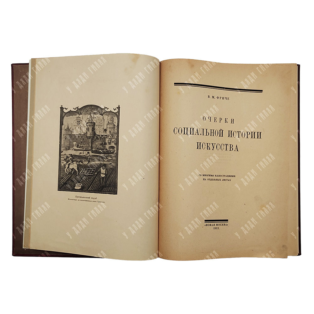 Фриче В. М. Очерки социальной истории искусства, 1923.