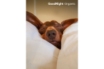 Постельное белье GoodNight Сатин Делюкс евро (с нав. 50х70) черный