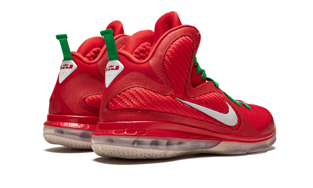 Заказать в Москве Nike LeBron 9 Christmas