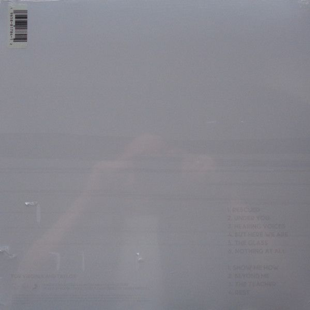 Foo Fighters — But Here We Are (LP)