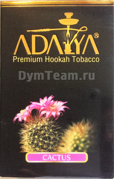ADALYA (АДАЛИЯ) Cactus 50 гр.