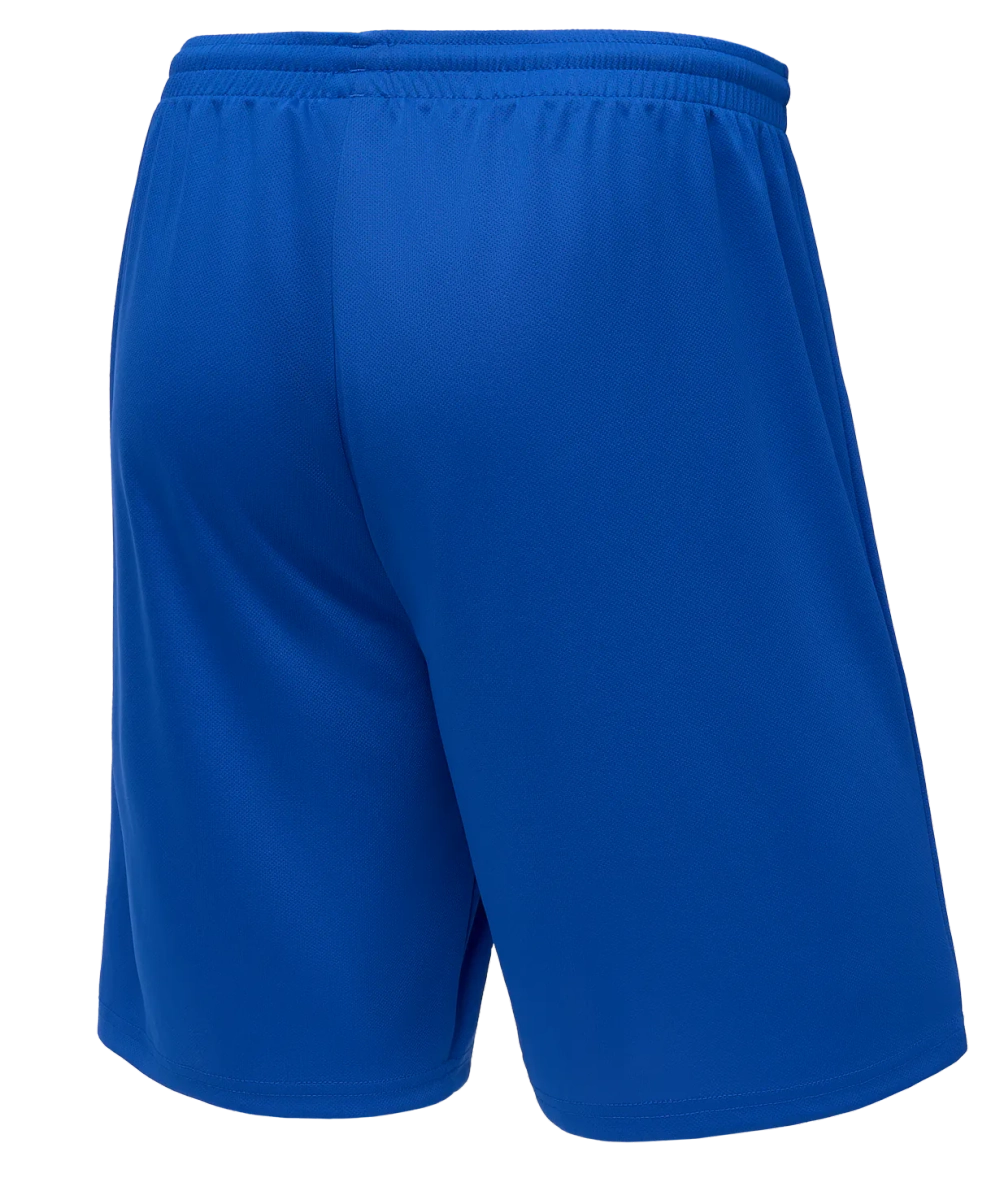 Шорты баскетбольные Camp Basic, синий
