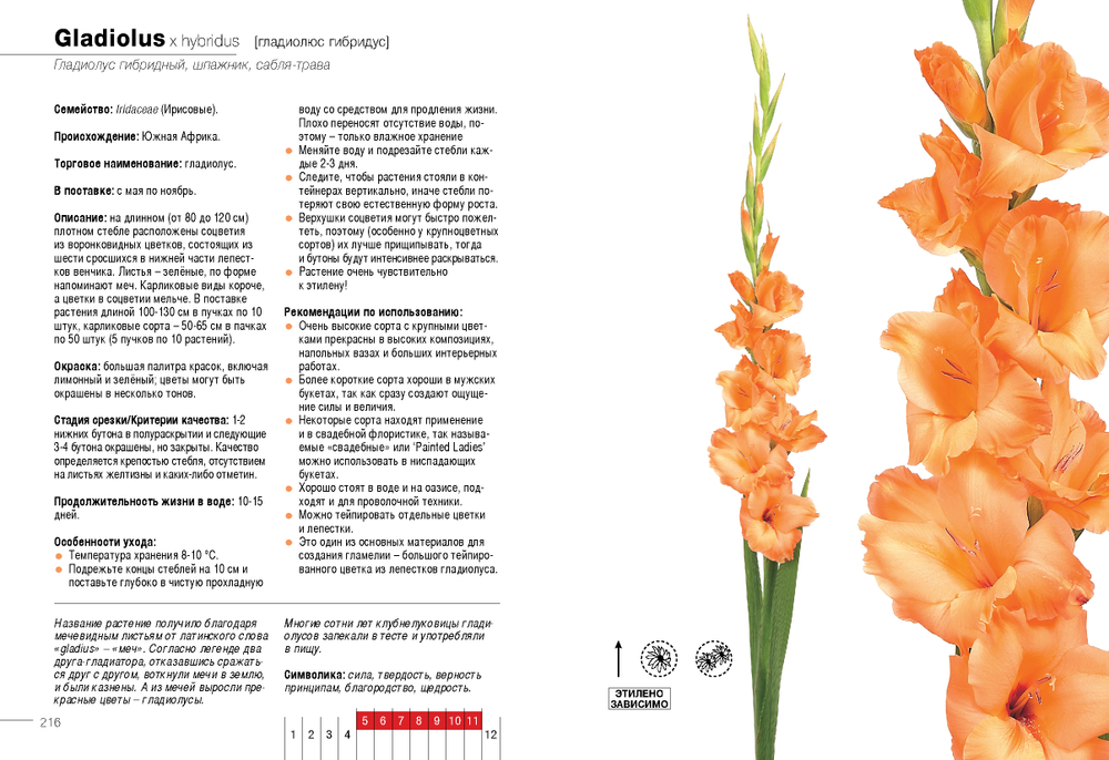 Цветы в срезке от A до Z. Каталог-справочник в 2х частях