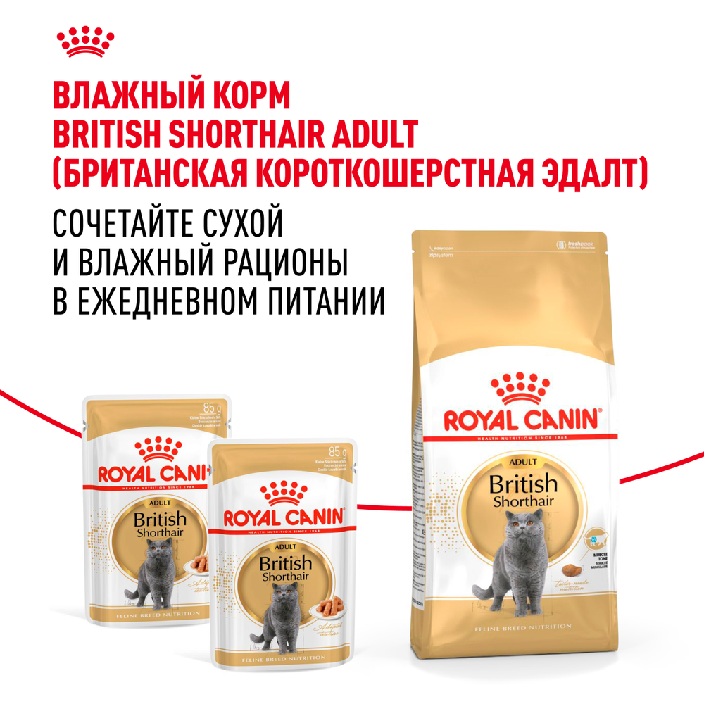 Royal Canin British Shorthair Adult Британская короткошерстная Эдалт Корм сухой для взрослых британских кошек 10кг