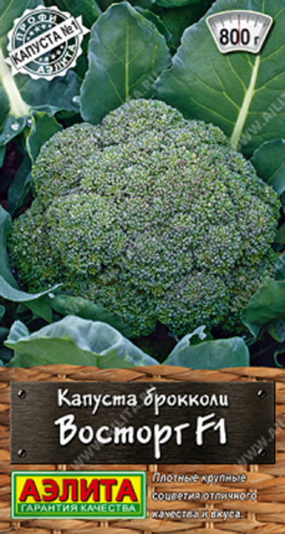 Капуста брокколи Восторг F1