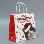 Пакет подарочный крафтовый "Котик" 22×22×11см (Дарите Счастье)
