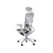 GTChair Dvary X grey