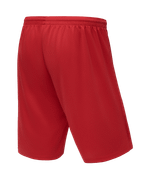 Шорты баскетбольные Camp Basic, красный