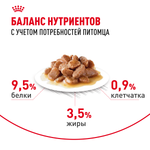 Royal Canin Digestive Care Дайджестив кэа Корм влажный профилактика нарушений пищеварительной системы для взрослых кошек соус 85г