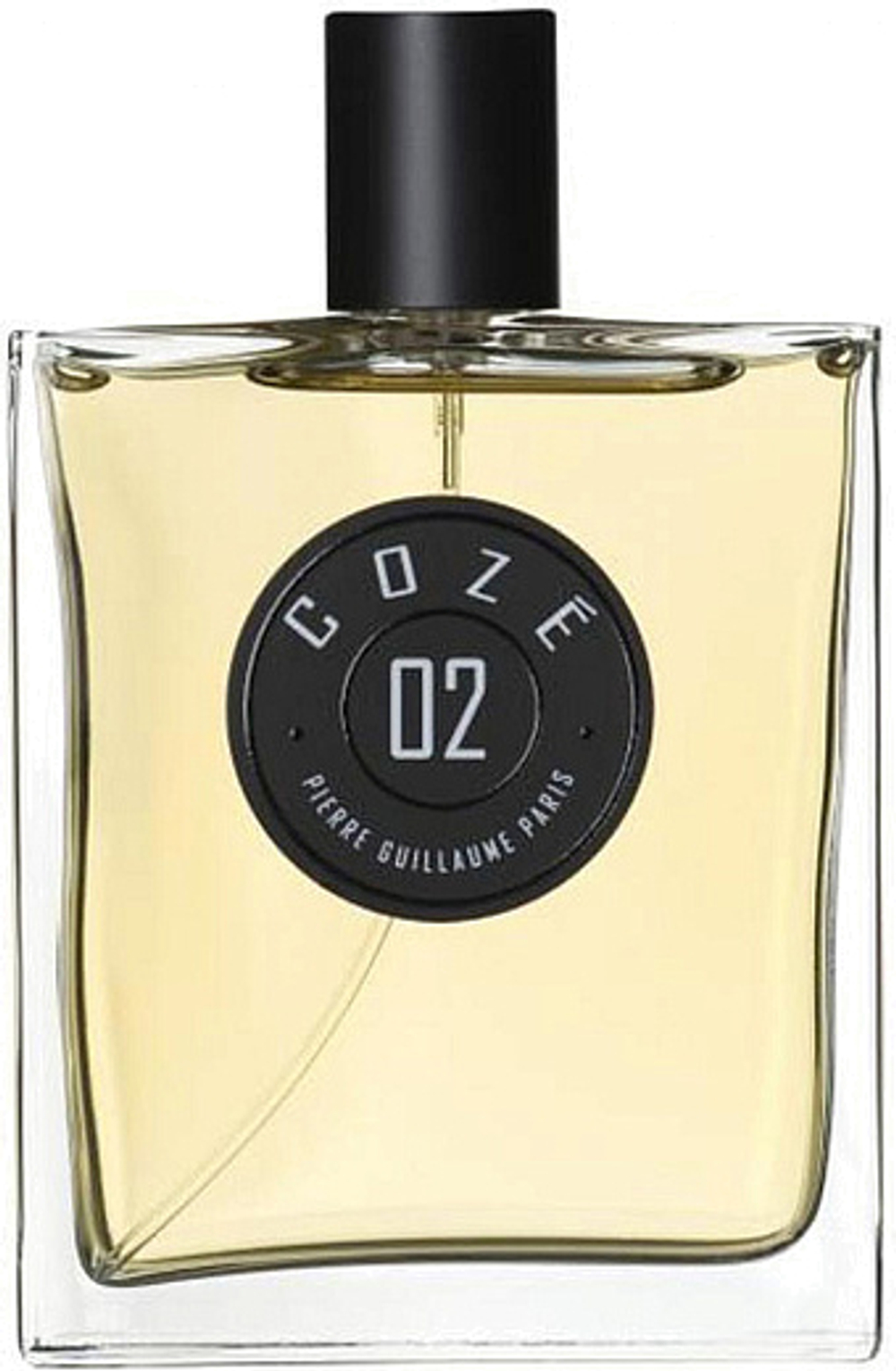 Pierre Guillaume 02 Coze