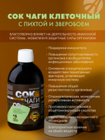 Сок Чаги клеточный с пихтой и зверобоем, 450 мл Поддерживает работу иммунной системы