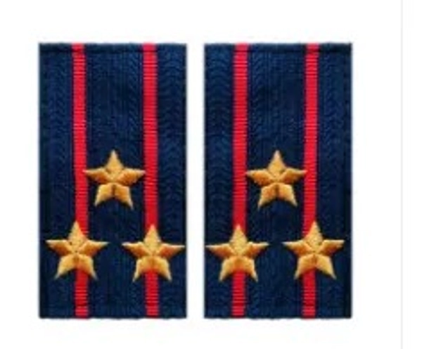 Фальшпогоны вышитые н/о полиция полковник 5*9 см