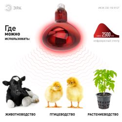 Термоизлучатель инфракрасный зеркальный ЭРА ИКЗК 230-150 R127 для обогрева животных и освещения 150 Вт Е27 | Инфракрасные лампы