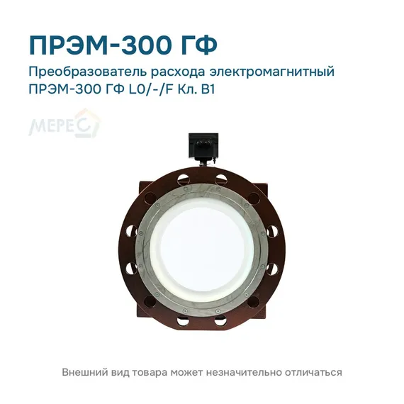 Преобразователь расхода электромагнитный ПРЭМ-300 ГФ L0/-/F Кл. B1