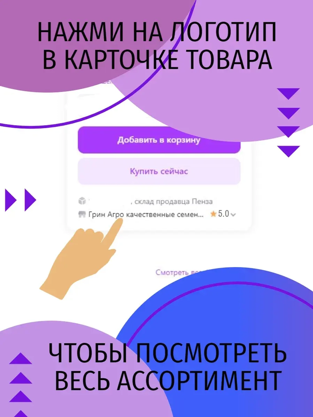 Семена лук на зелень (10гр)