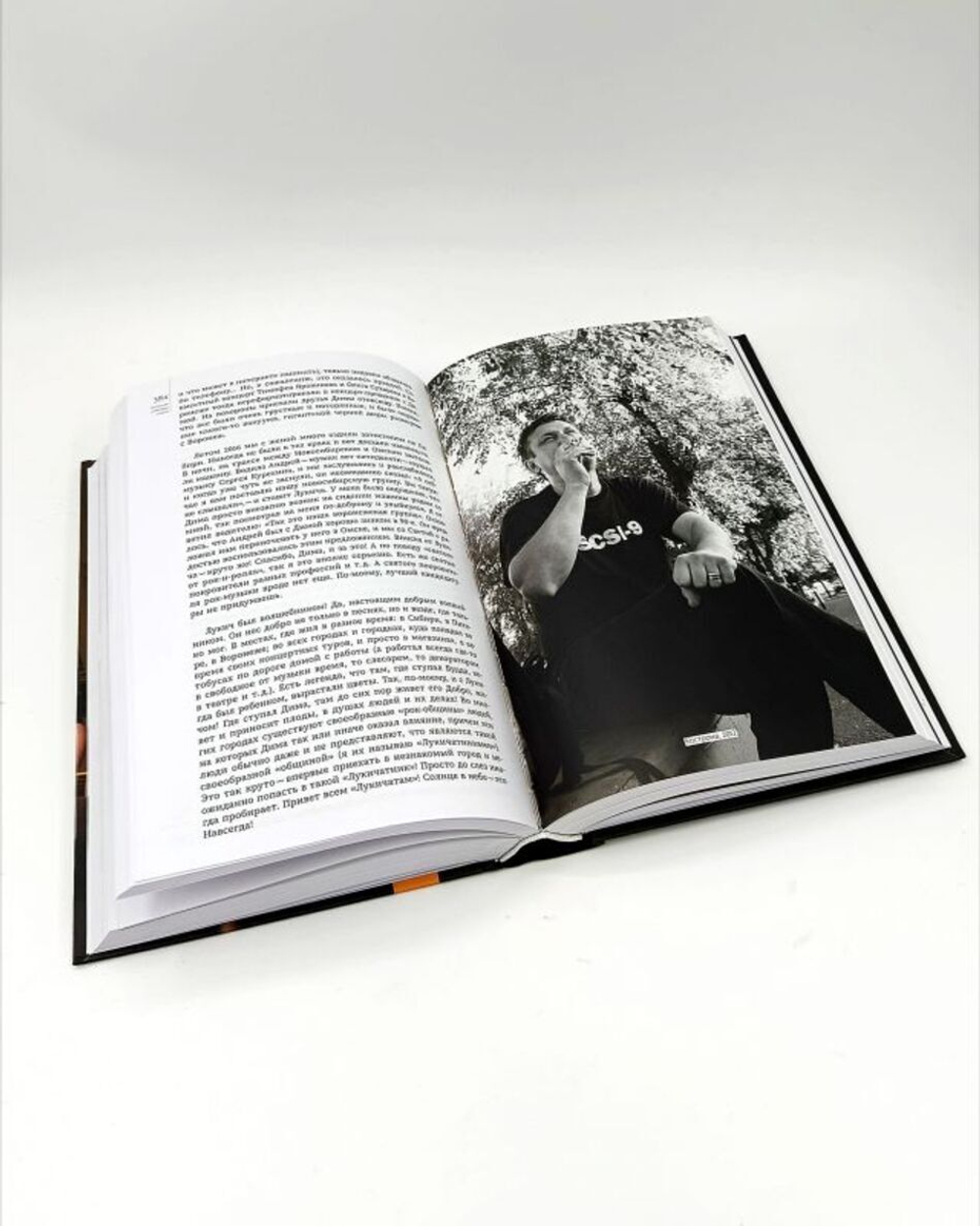 Большая Димкина Книга. Чёрный Лукич и друзья / Анна Герасимова