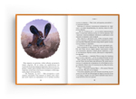 Восьмирье. Книга третья. Мечты и пичальки