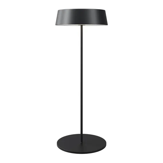 Уличная настольная лампа Porto O540TL-L2BCCT Maytoni