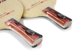 DHS PG-5 New from Ma long