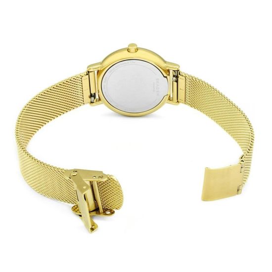 Женские часы Skagen SKW2693