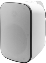 svs_paf-8w_web.png