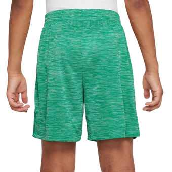 Шорты для мальчика теннисные Nike Kids Dri-FIT Multi Big Training - stadium green/pure/white