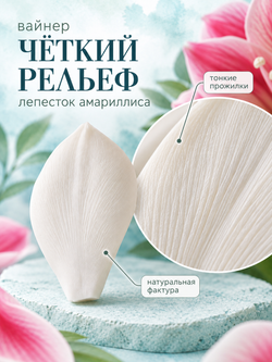 Вайнер лепесток Амариллиса