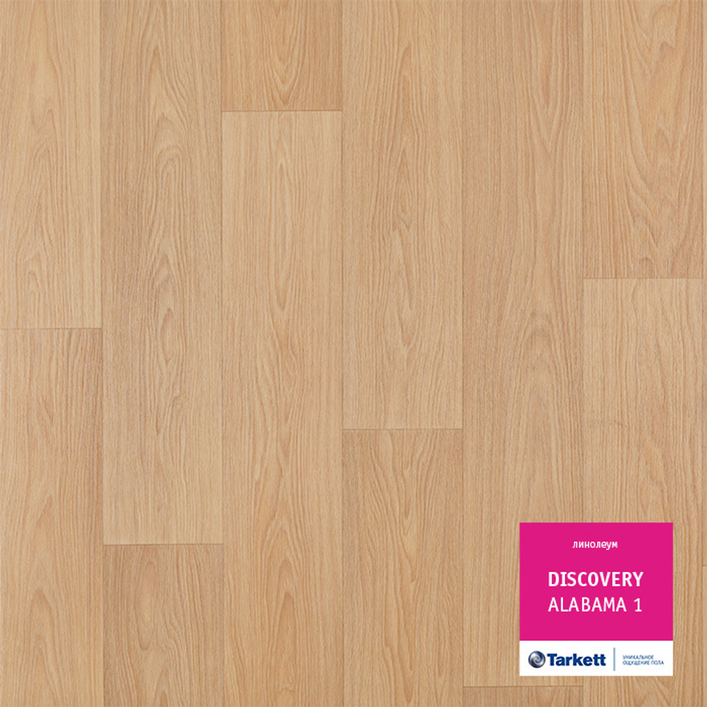 Линолеум Tarkett DISCOVERY ALABAMA 1, Ширина рулона: 3,1м