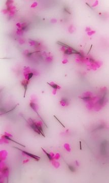 SOFT BLOOM 002 15 мл Navi