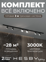 Комплект трековый Hesby Lighting Skylite No13 HSBL_kompl_S013_NI2B3K