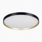 Потолочный светодиодный светильник Citilux Etalon CL750501R
