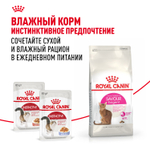 Royal Canin Savour Exigent Сэйвор Экзиджент Корм сухой для взрослых кошек привередливых ко вкусу 200г
