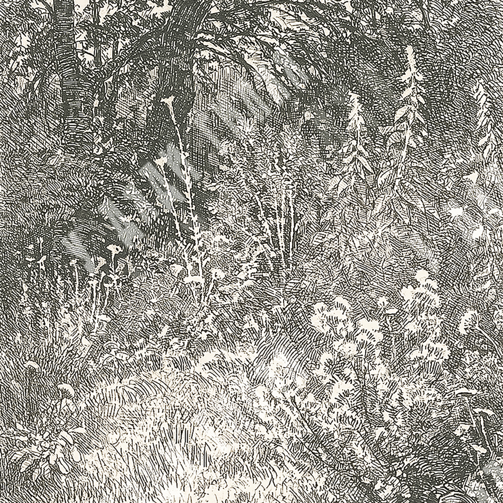 Шишкин И. И. Лесные цветы. Бумага, офорт. 1873.