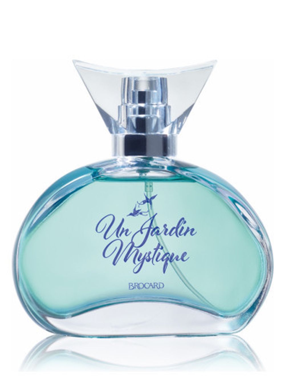 Brocard Un Jardin Mystique