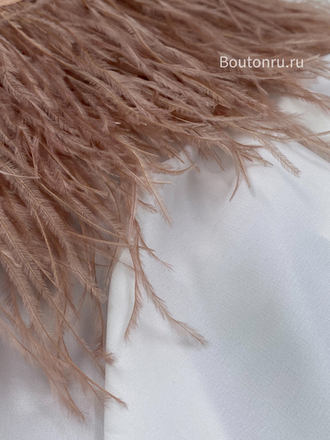 Перо цвета кофе с молоком