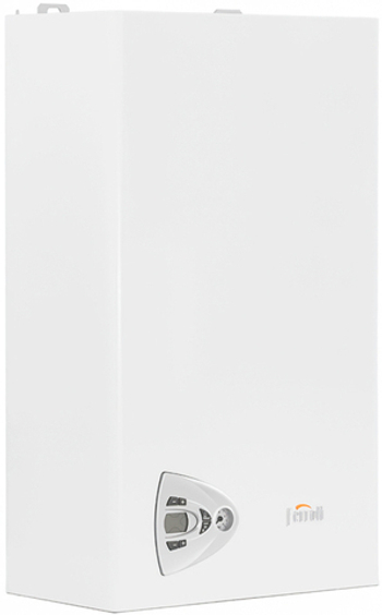 Настенный газовый котел Ferroli Vitabel C 24