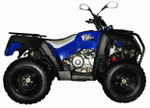 Квадроцикл ADLY 320 U 2WD (с цепным приводом)