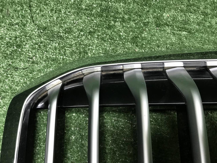 Решетка радиатора BMW X7 G07 (2019-2022)