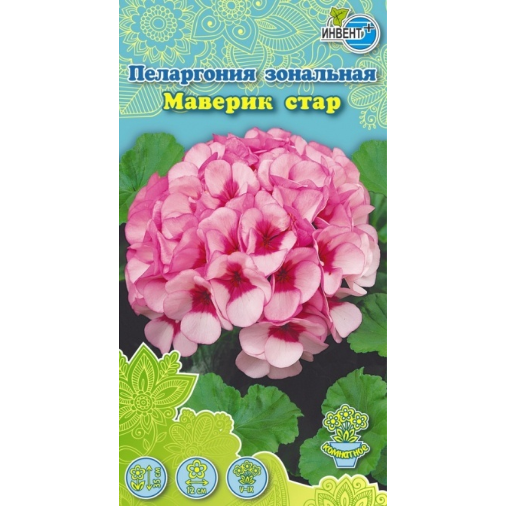 Пеларгония зональная Маверик стар  Инвент+