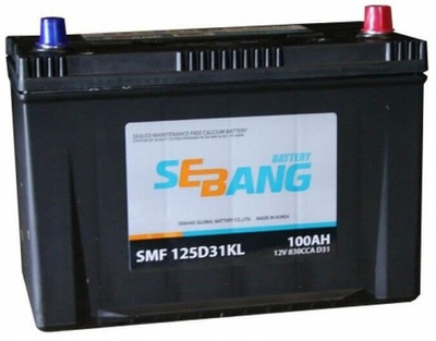 Sebang 6CT- 100 ( 125D31 ) аккумулятор