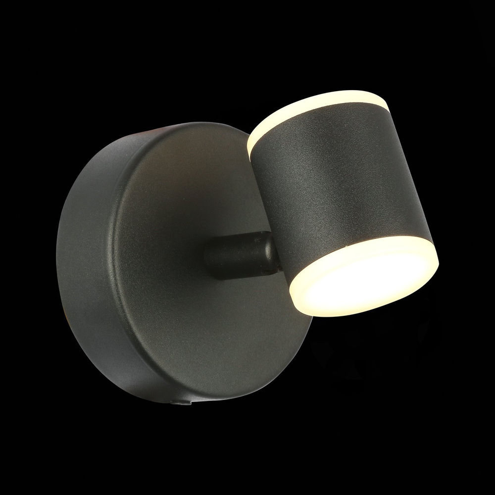 Светильник настенный ST Luce Formolla SL1597.401.01