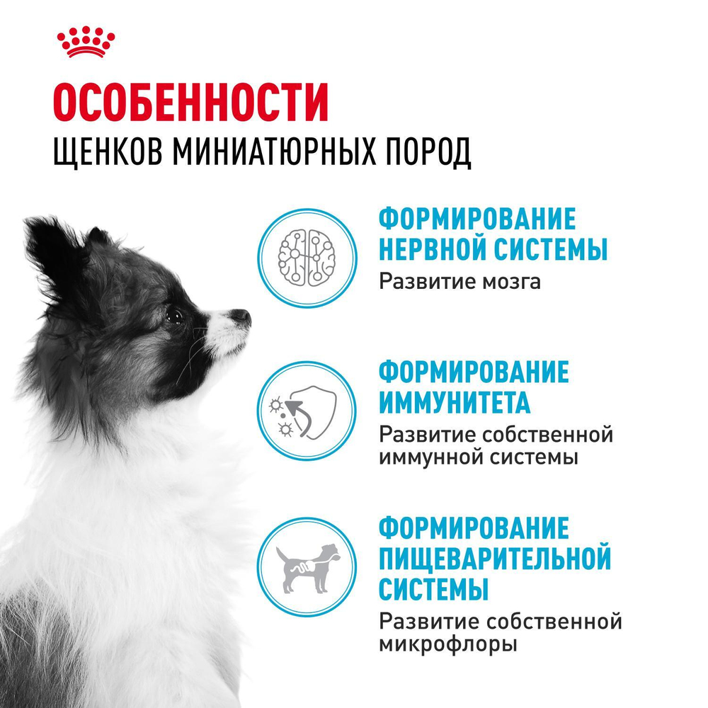 Royal Canin X-Small Puppy Икс-Смол Паппи Корм сухой для щенков миниатюрных пород в возрасте до 10 месяцев 3кг