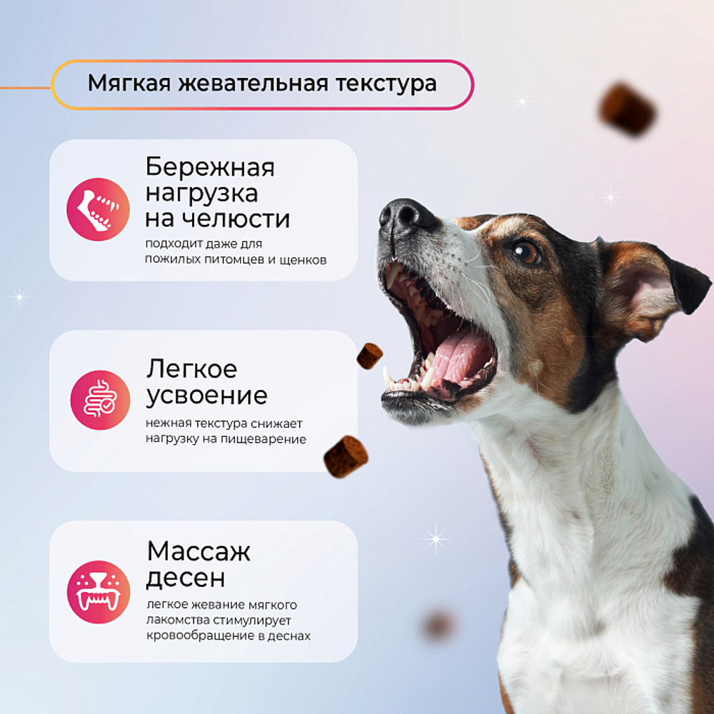 Функциональное лакомство Favet SuperFlora Soft Chews для пищеварительной системы для собак, 120г