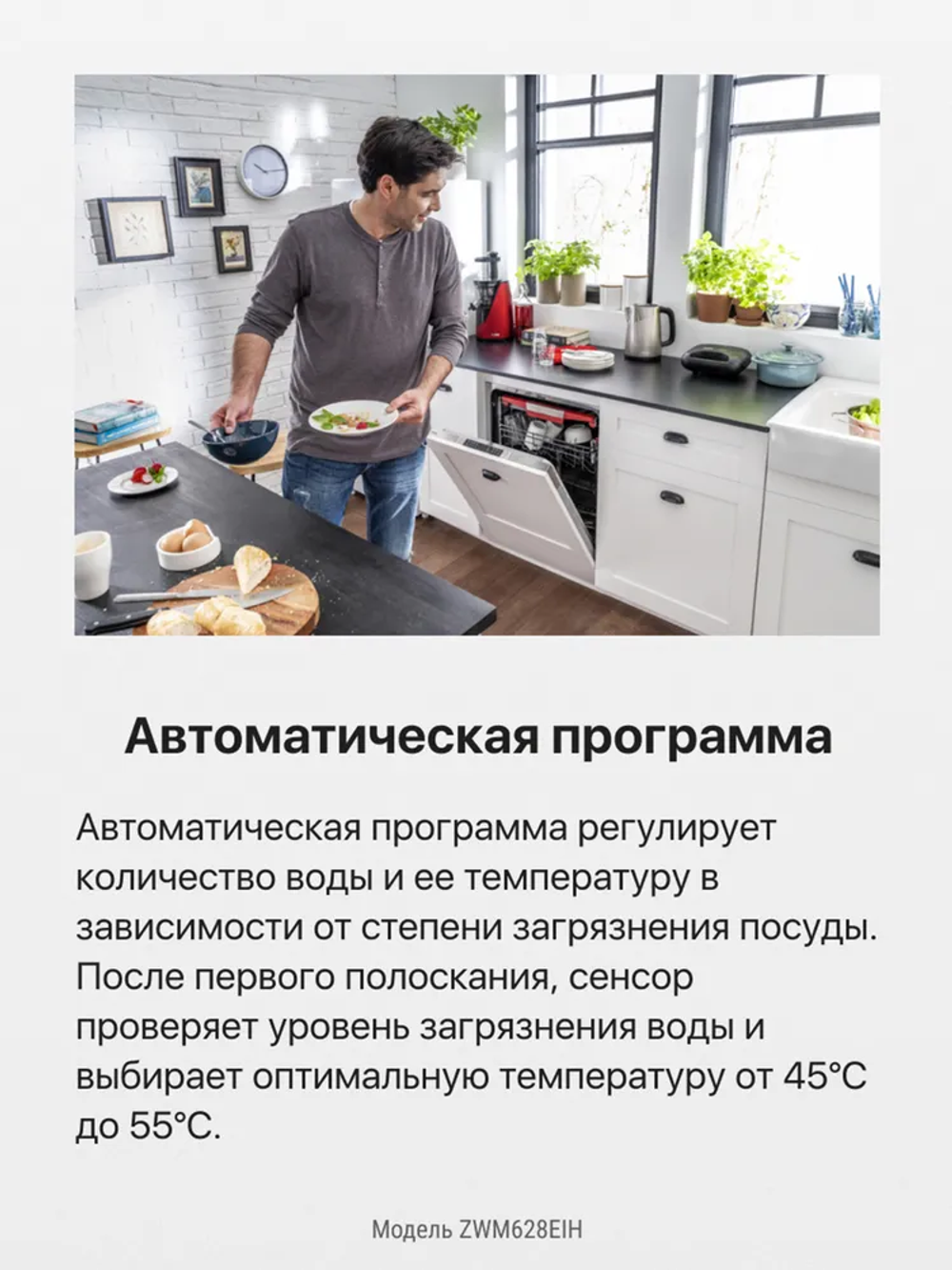 Посудомоечная машина Hansa ZWM628EIH