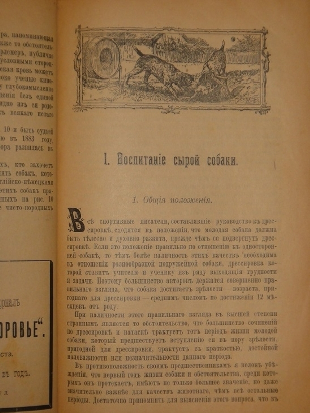"Дрессировка и натаска подружейных собак". Г.Оберлендер. 1910г.